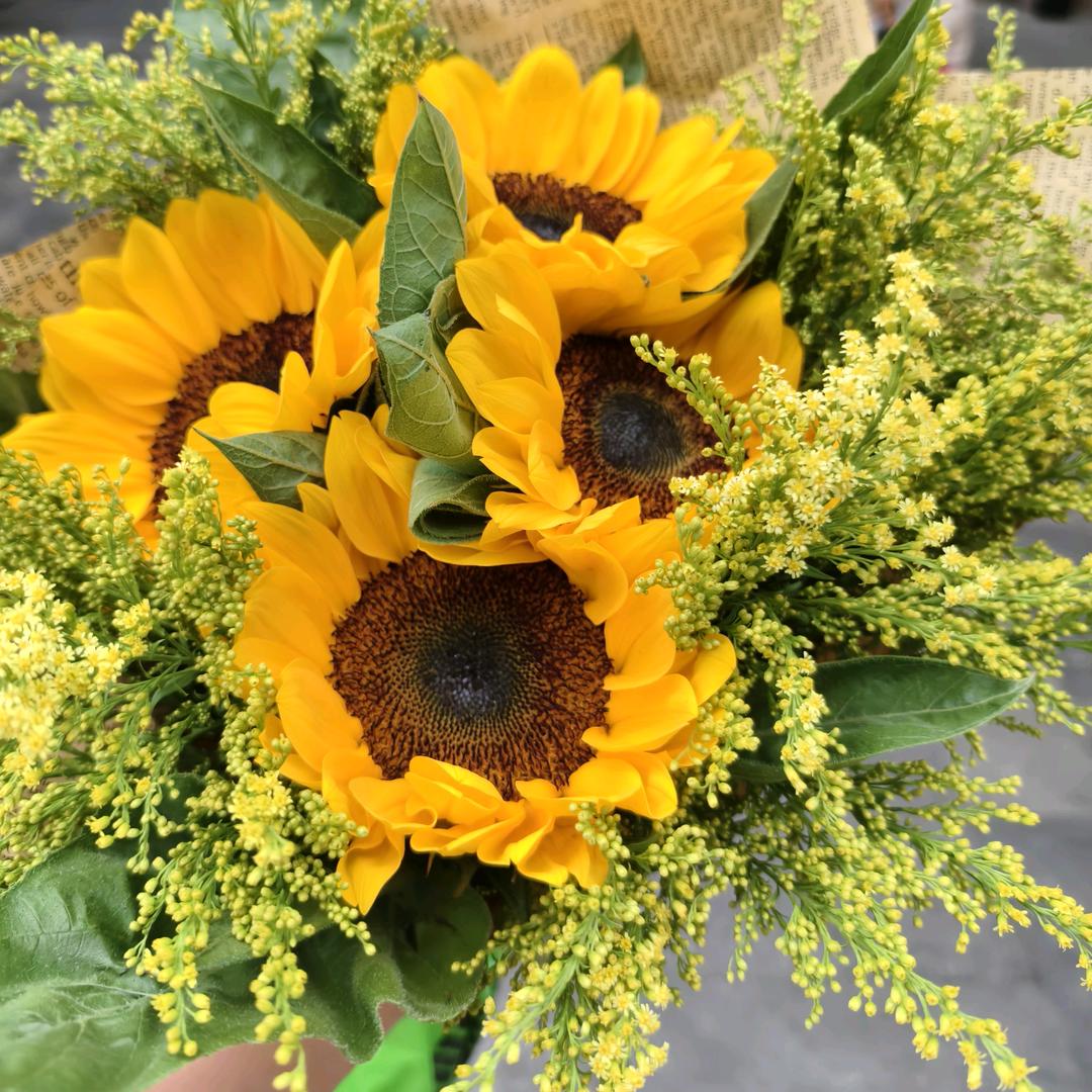 湉湉和菲菲妈妈