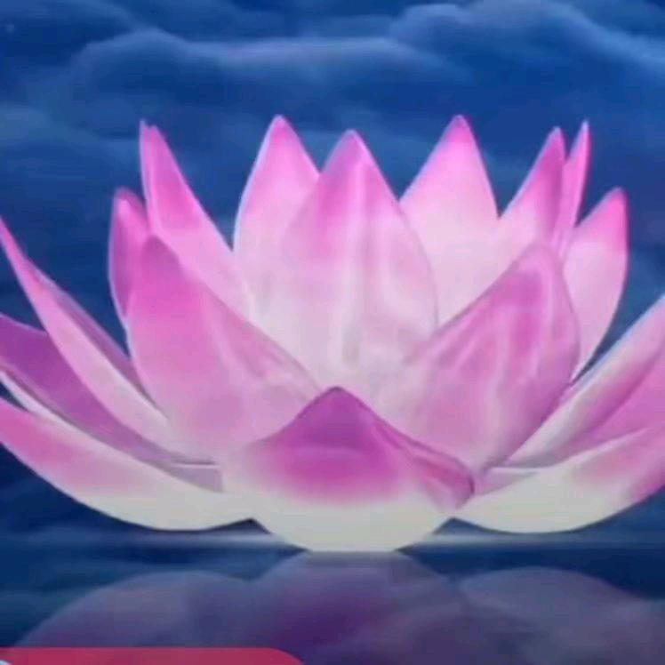 2239496861