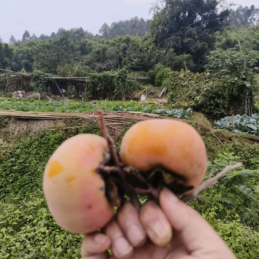 休闲郎🤡