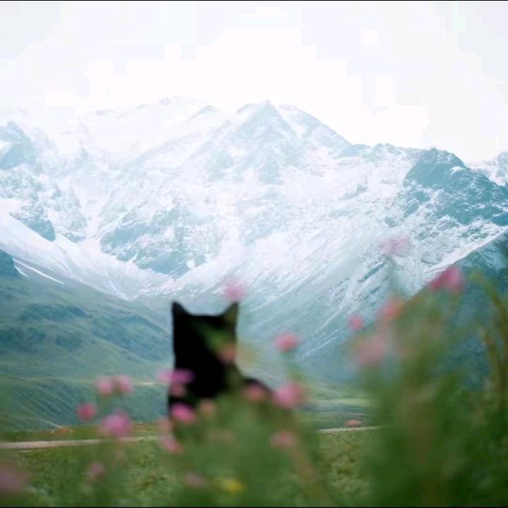 爱人不如更爱己