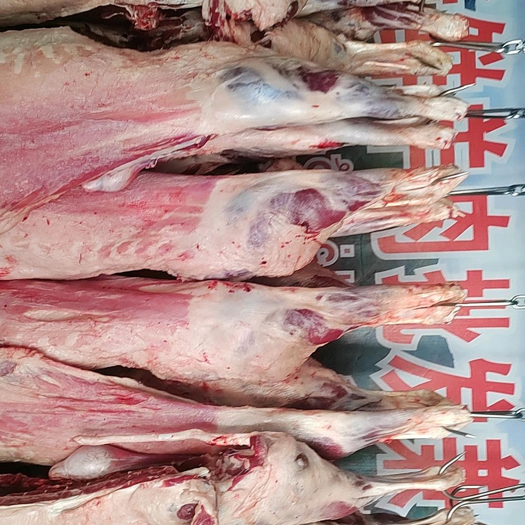 羊肉