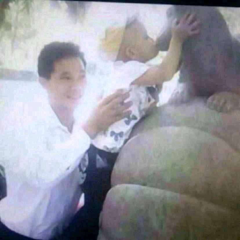 张延萍一生钟意廖本会