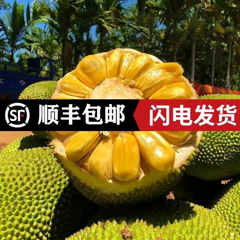 百果源工厂
