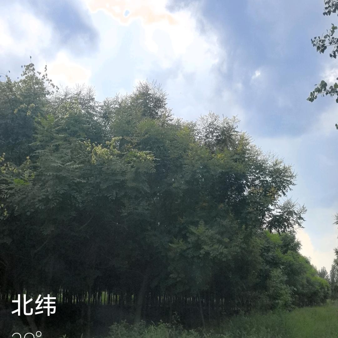 全国驾校招生亮哥🧢