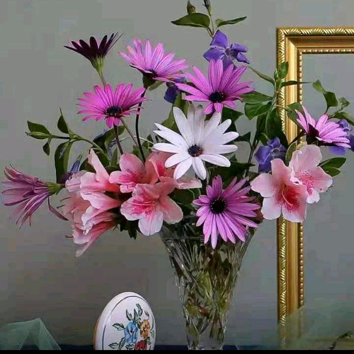 💐家🌹乡🥀美🌻🌺🌾🪻