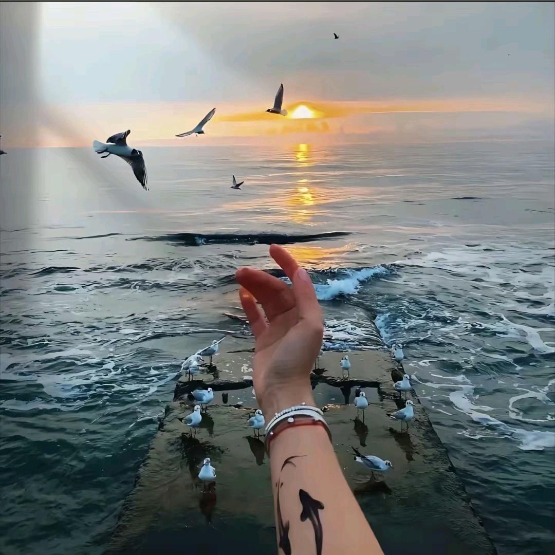 🦋ꦿ᭄໊🕊嘦姕᭄ꦿᩚ٭