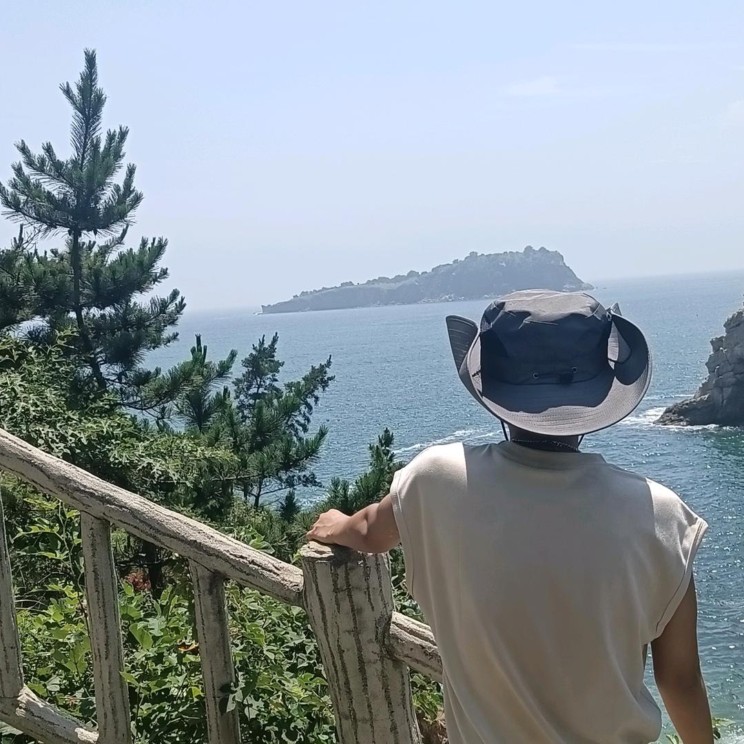 观察员