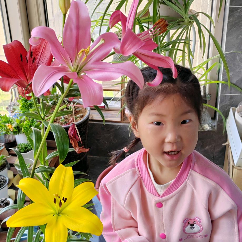 清清