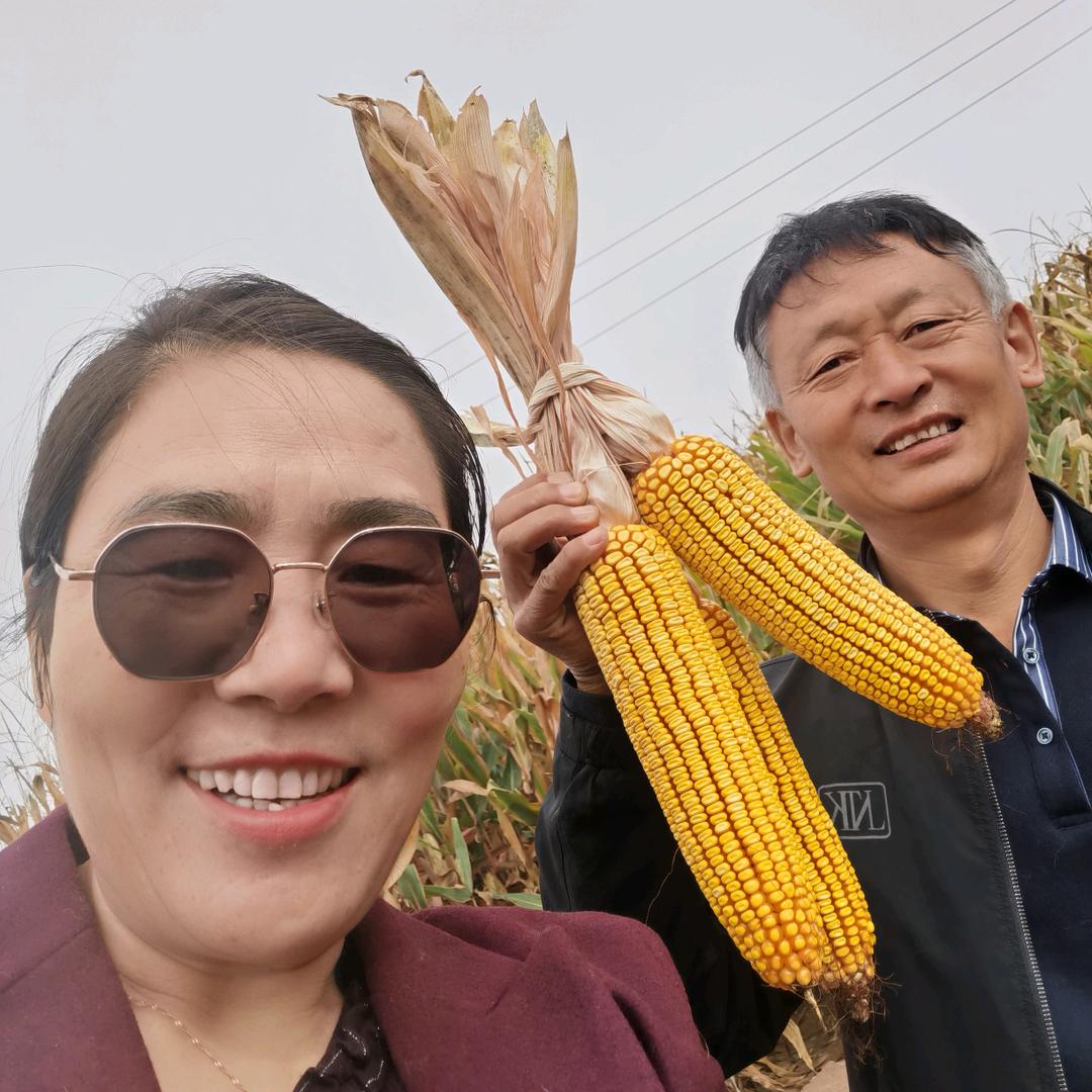 阿拉善农资梅姐