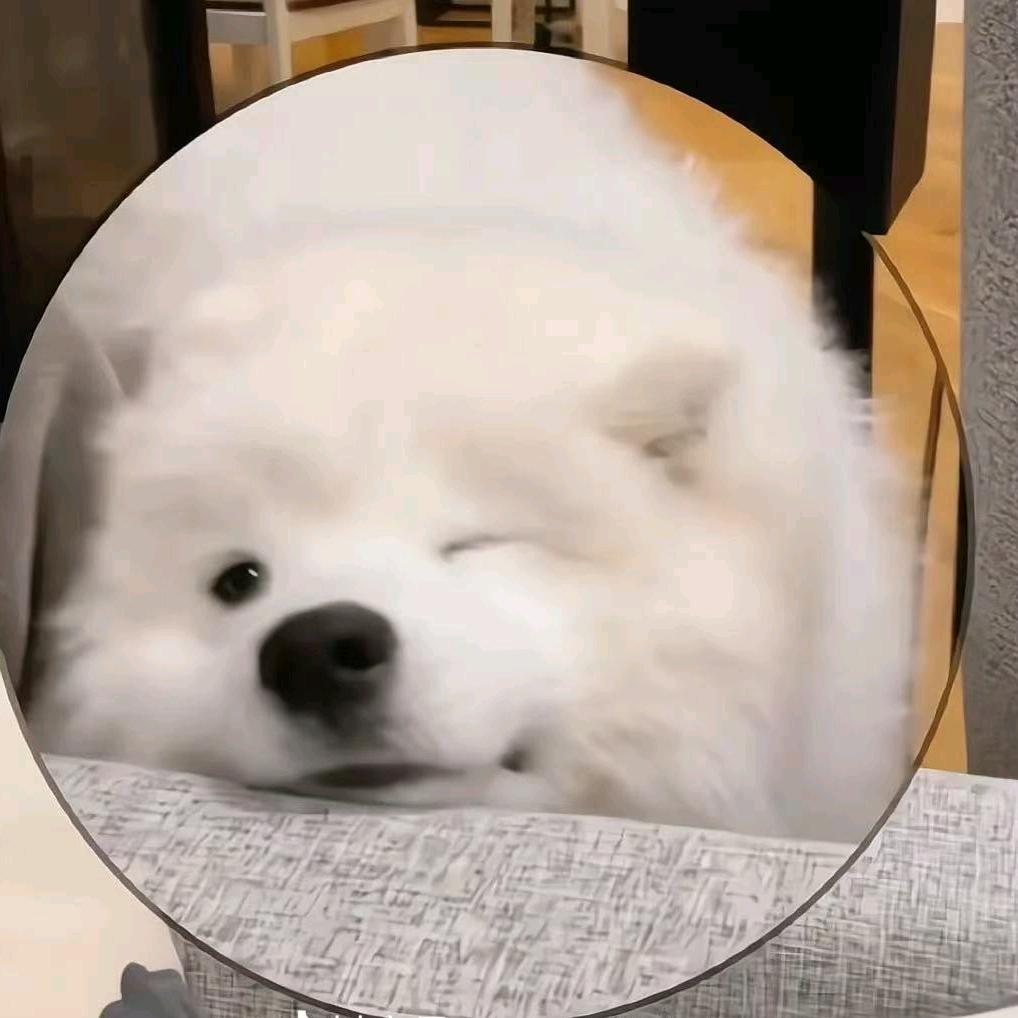 宠心宠物生活馆