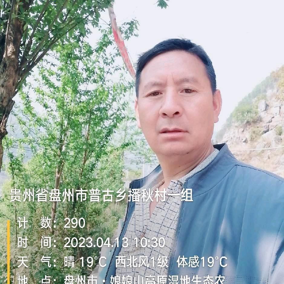 森林(蒋)