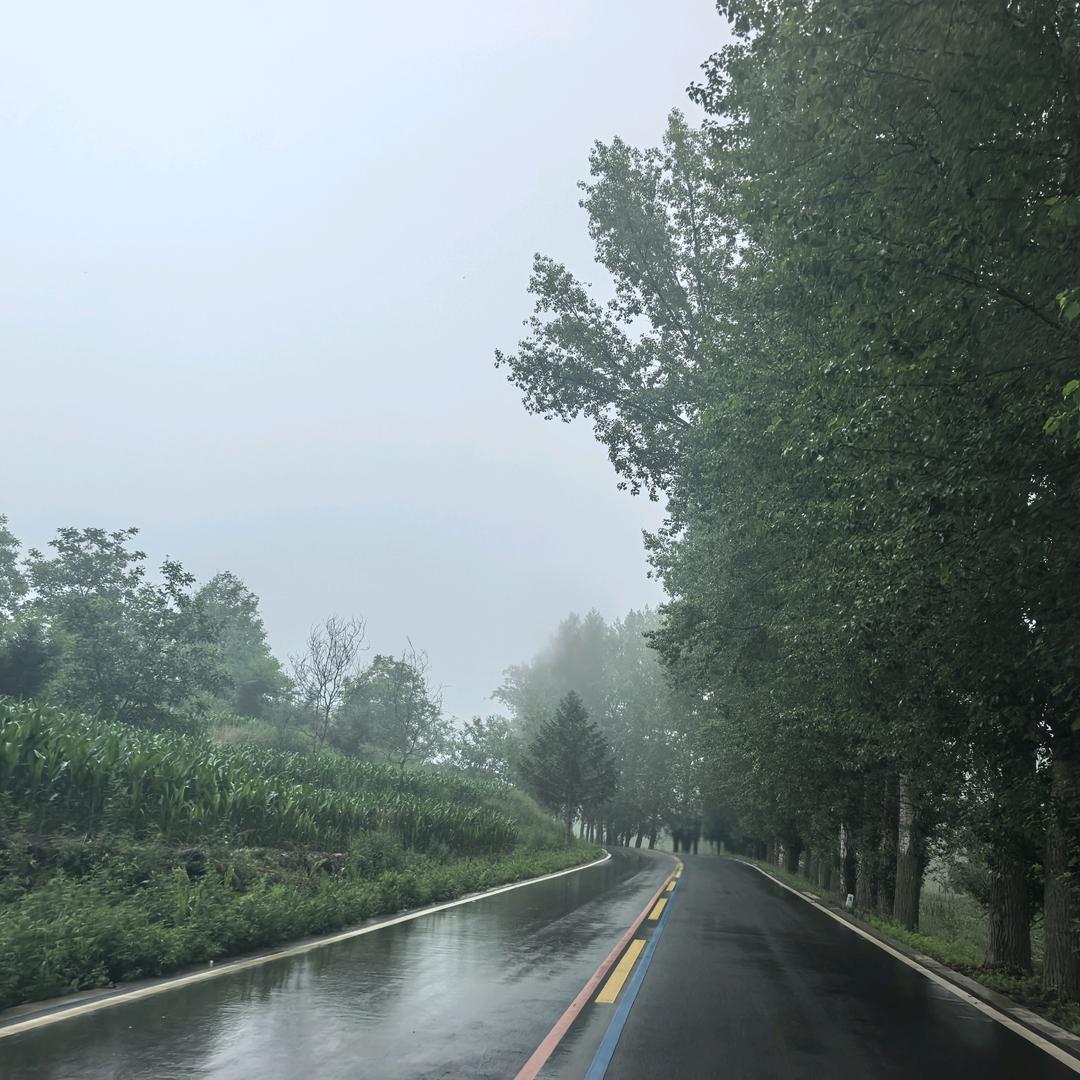 明明明明是明明
