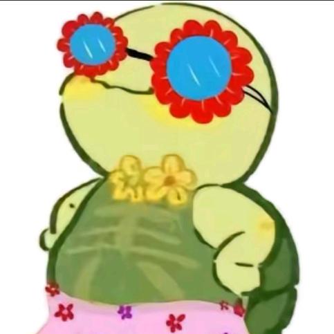 龟哥🐢