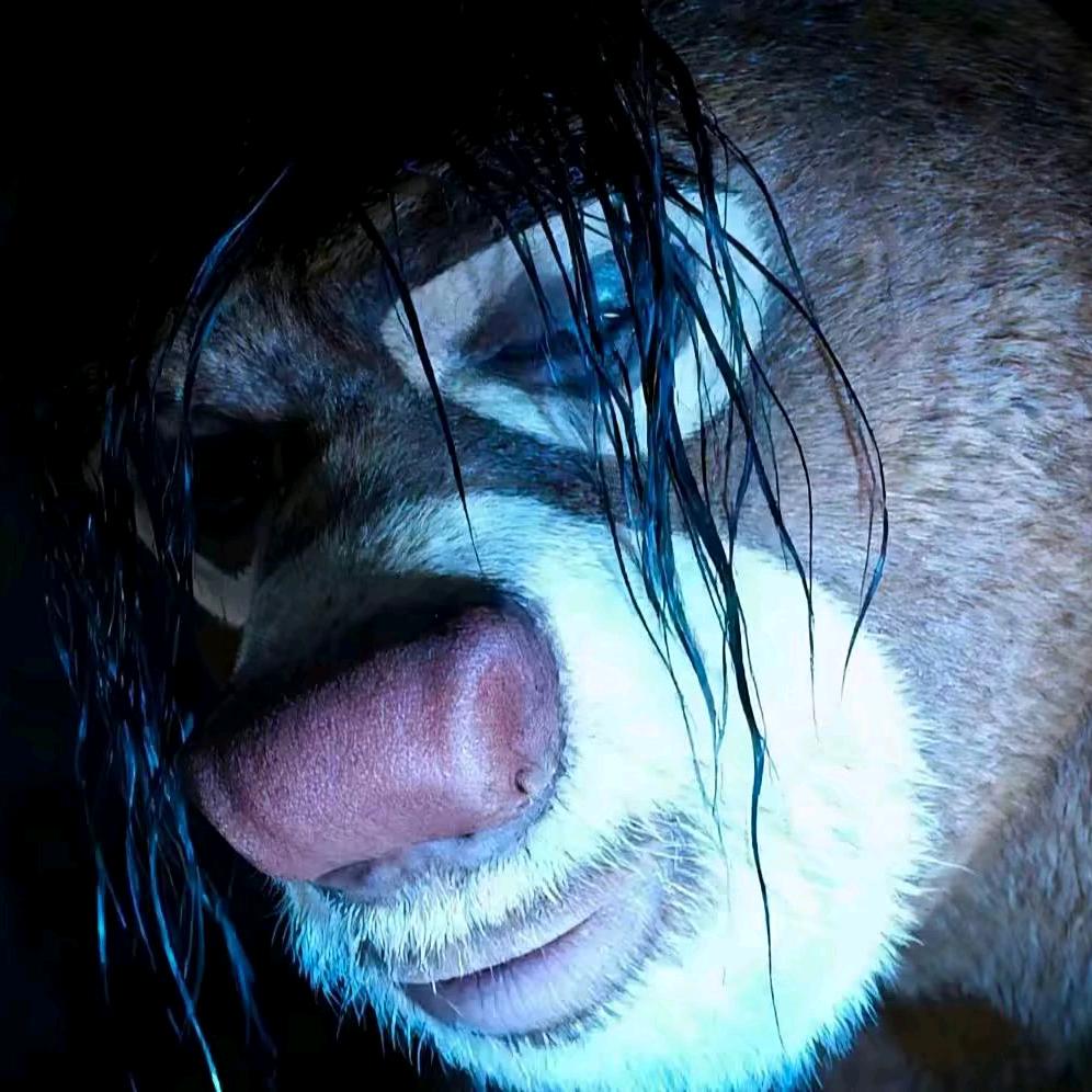 王者荣耀（市一熊大）