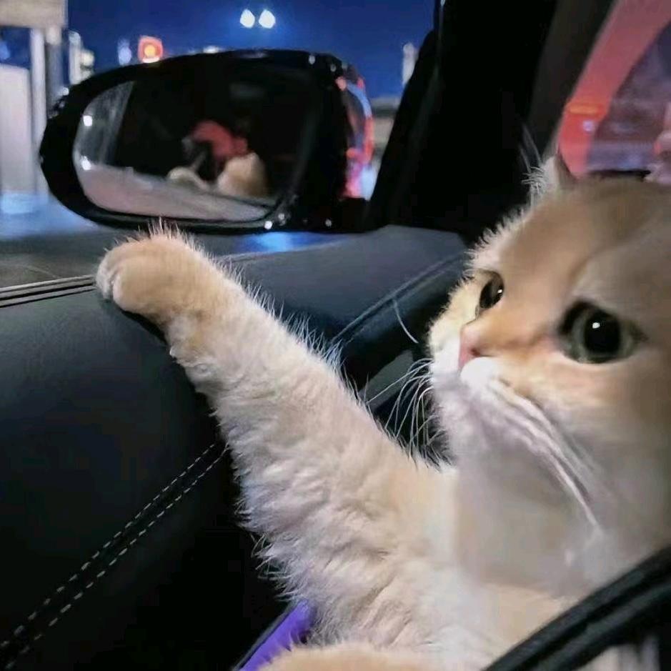 揽胜会为你代言