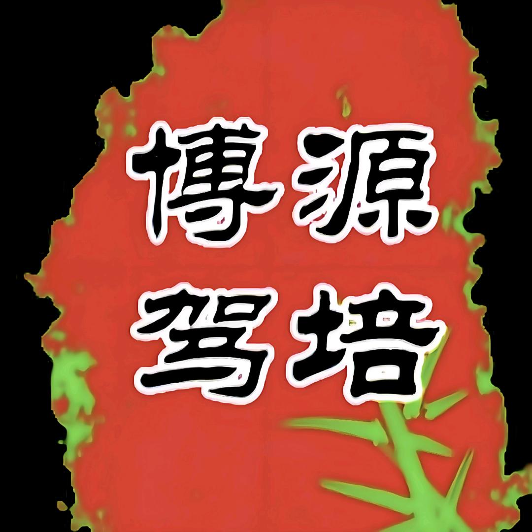 萧县博源驾考咨询服务部