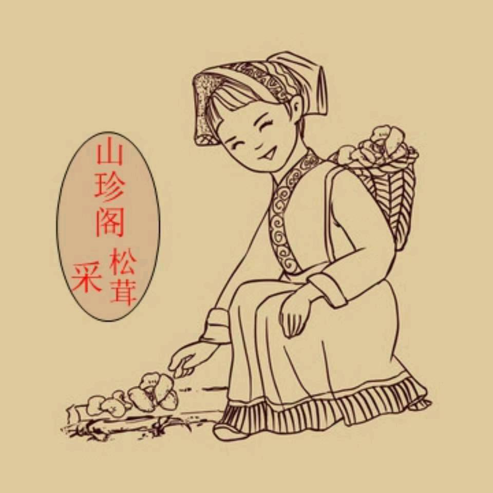 鲁鲁带你认识带你了解野生菌