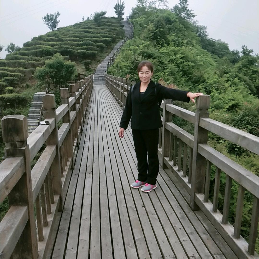 真情难找