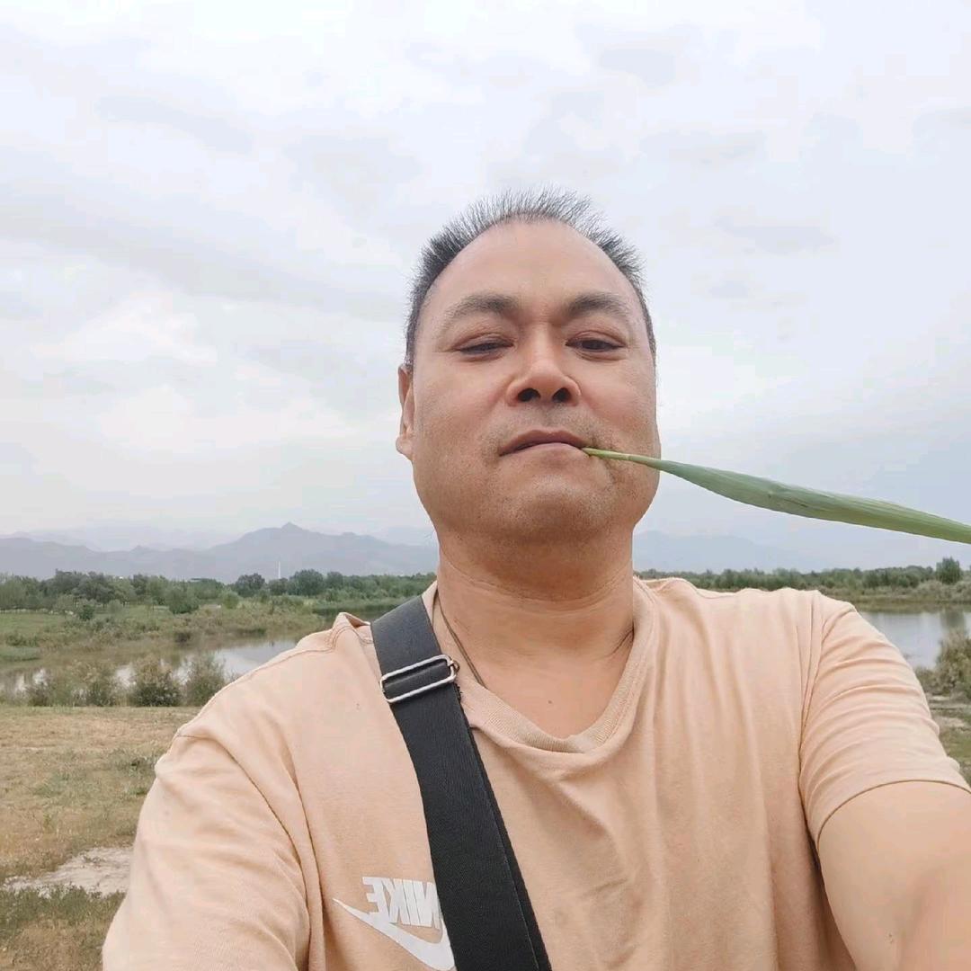 追随自然