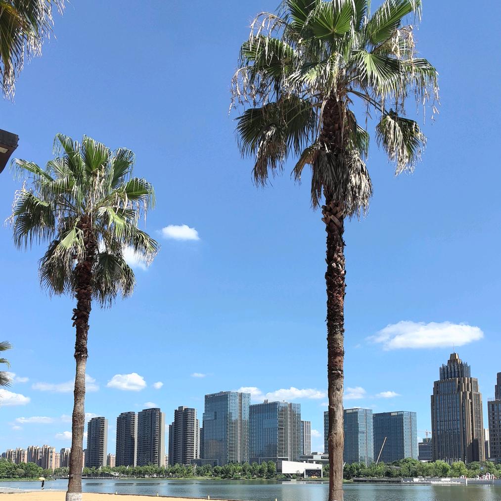 爱理财的美少女