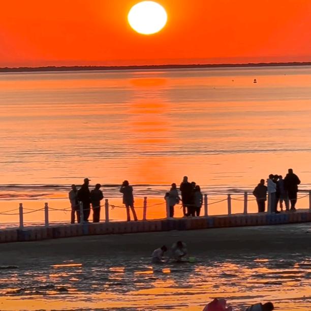 看庭前花开花落