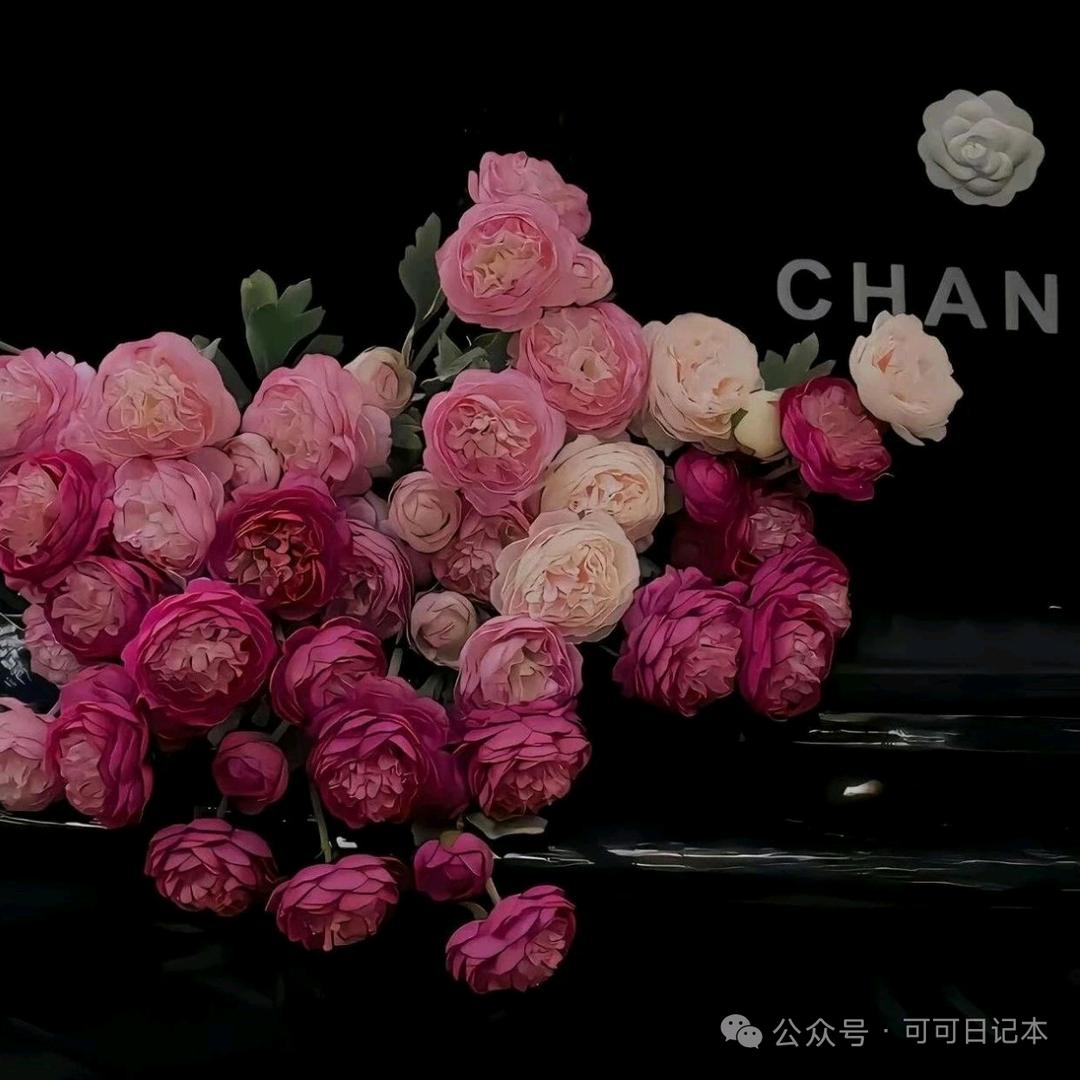 🍂ಢ᭄旺旺仙儿🥀