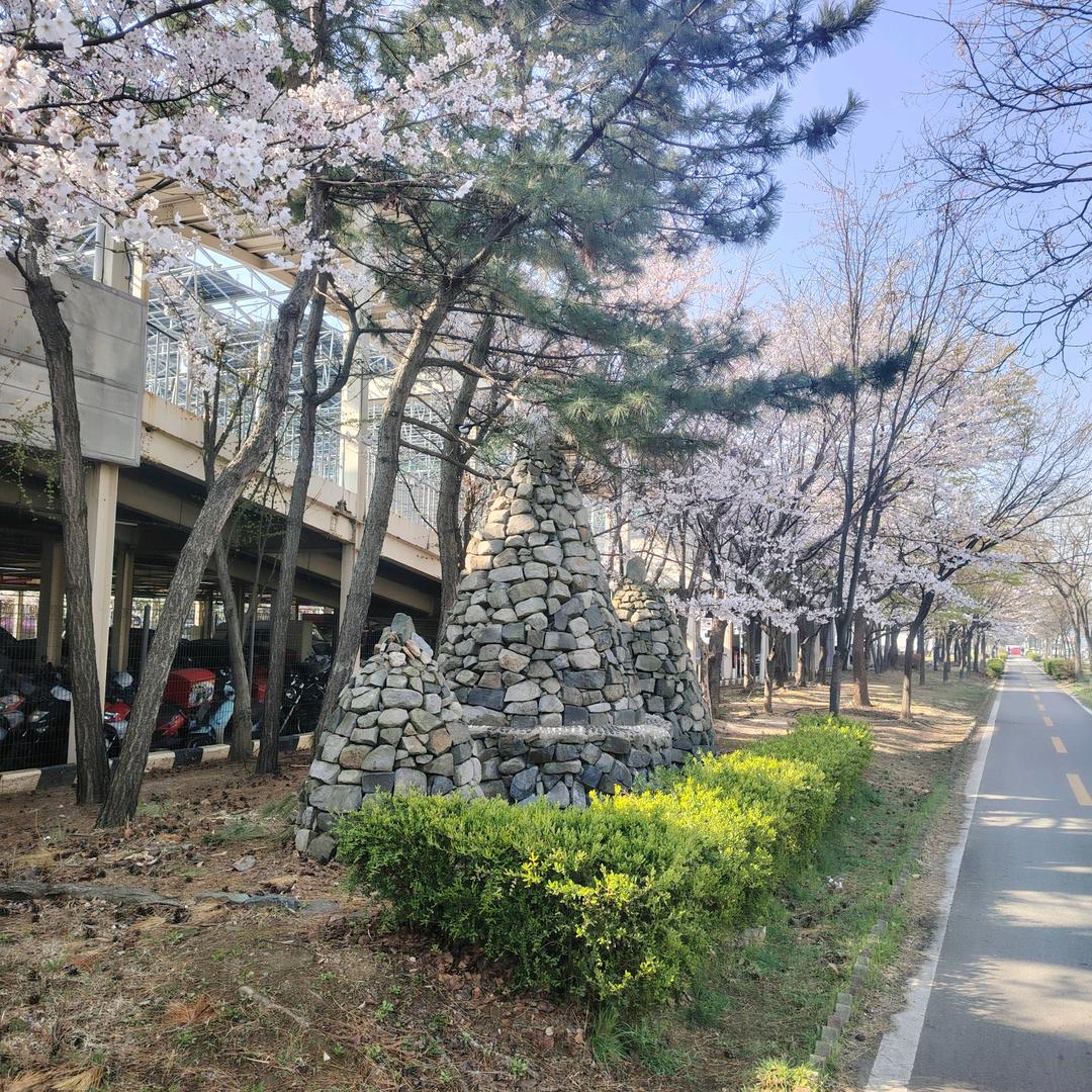 陆小羽