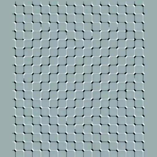 你看到的是什么