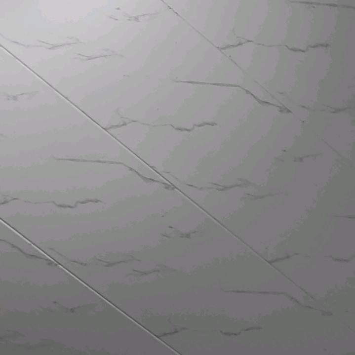 小夫人2