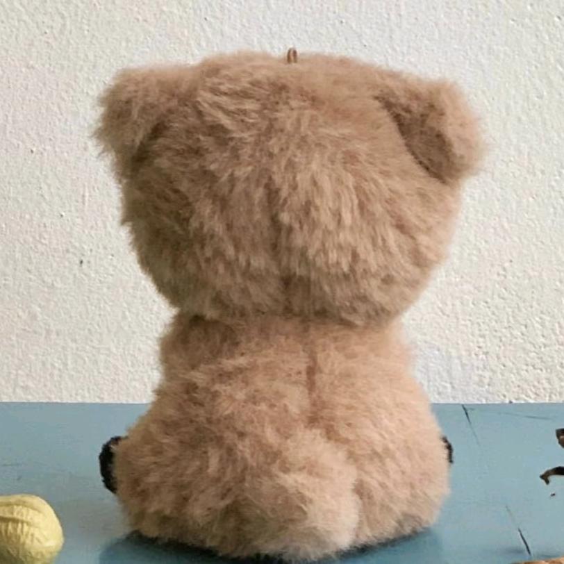 爱吃梅香排骨的地瓜