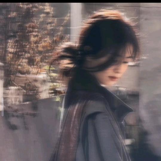 晝雨🦋