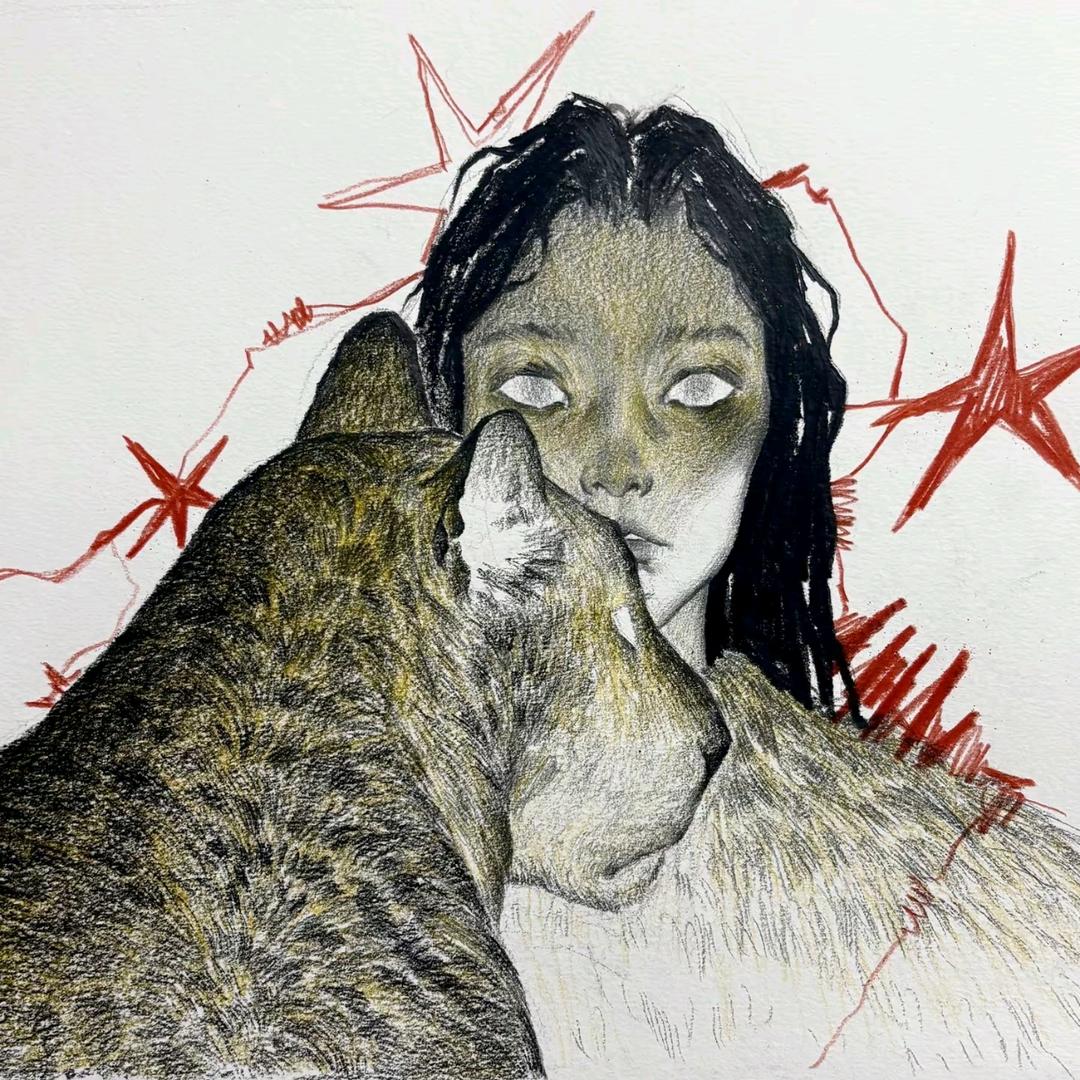 闪闪日用严选官