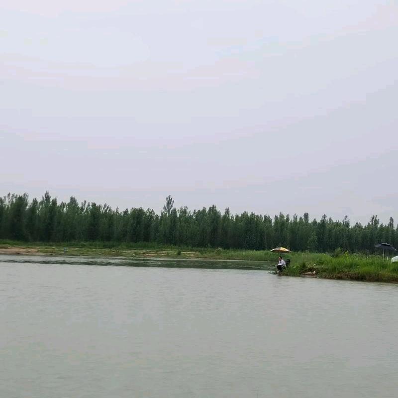 缘分