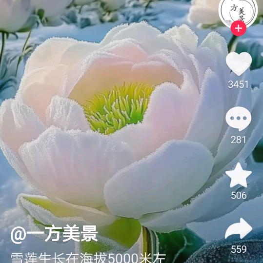 幸福