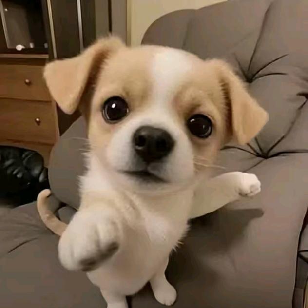 柯志华