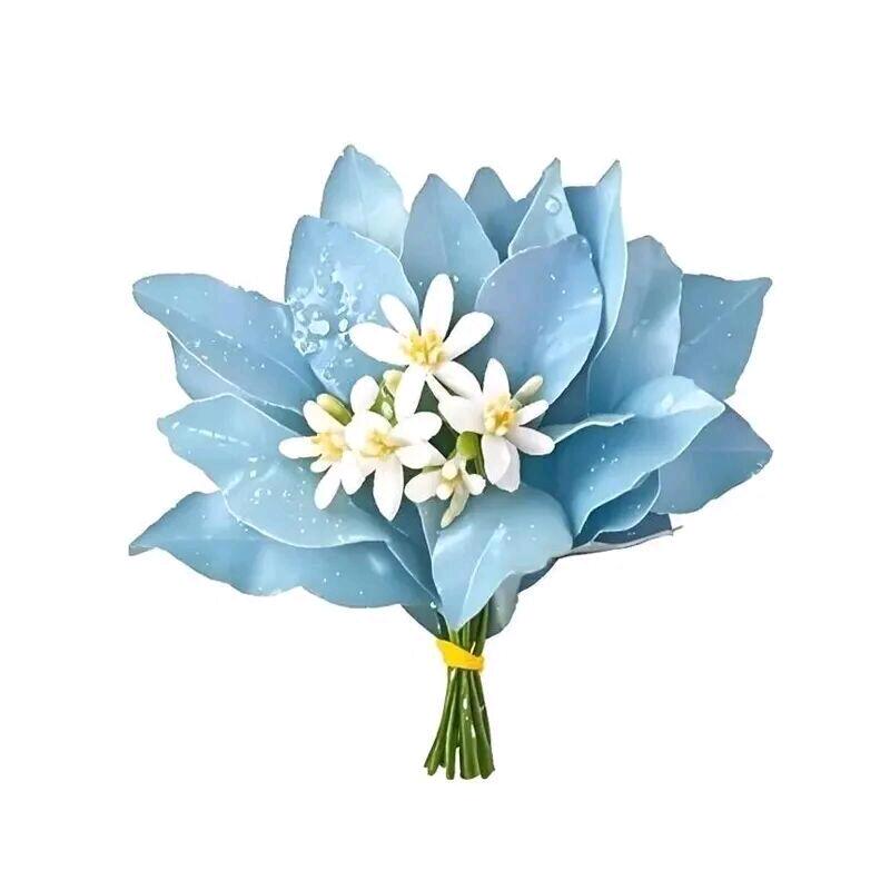 𓆩好运跳跳糖  𓆪໊ོ✨