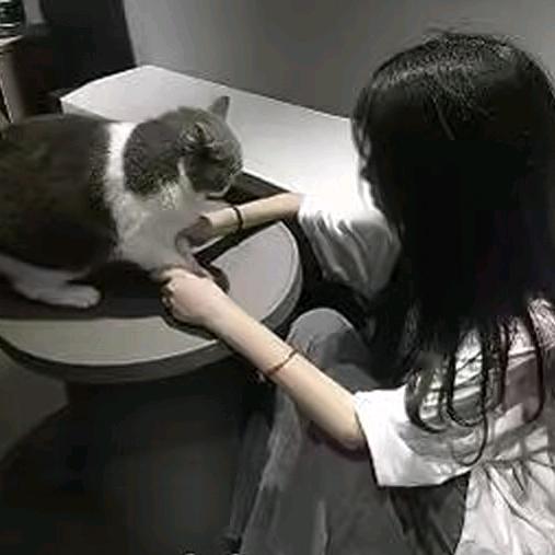 怀月归