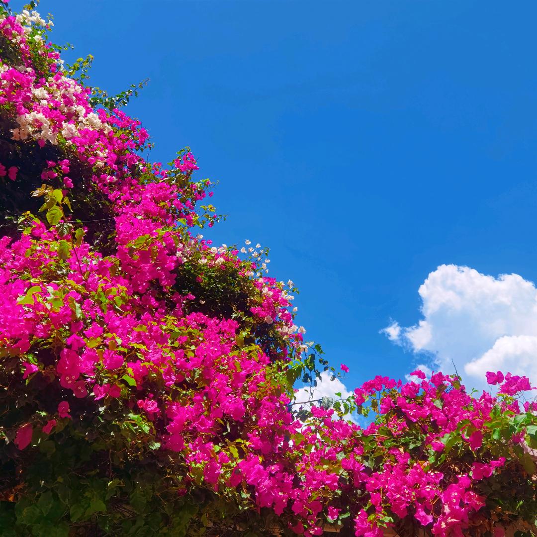 一生平安拒绝私聊