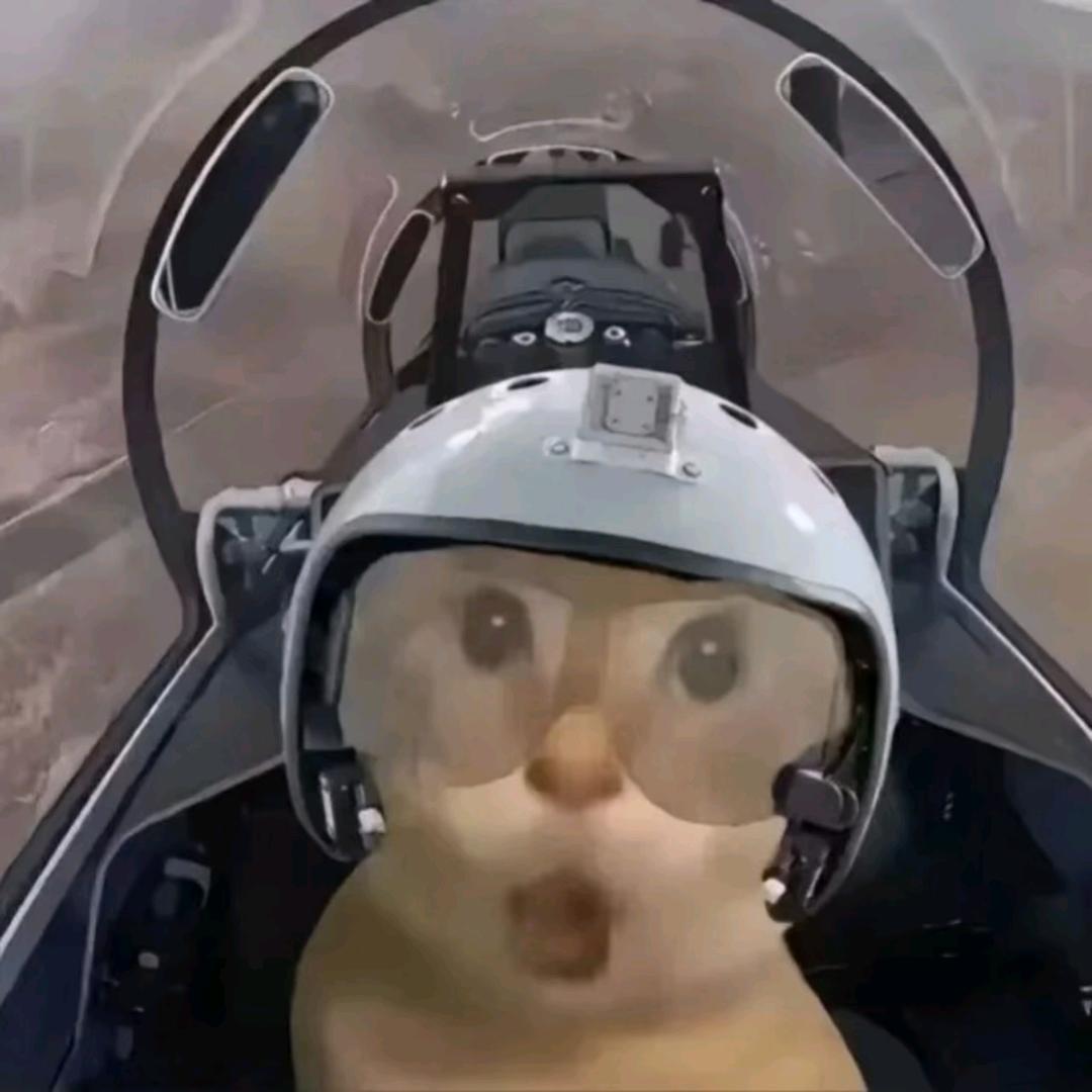 柴柴犬（三角洲行动）