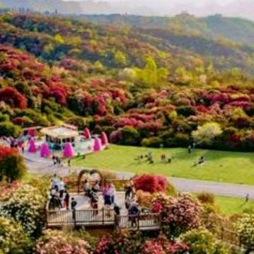 我再也回不到从前了