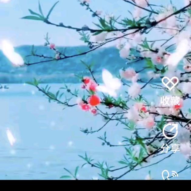 落花有意，流水无情