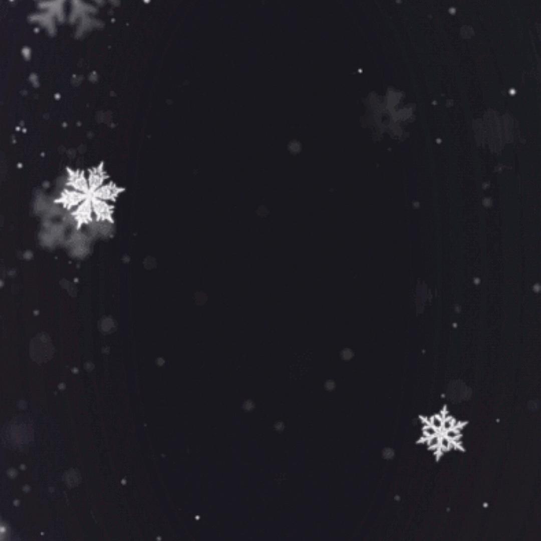 ୧₍˄·͈༝·͈˄₎୨