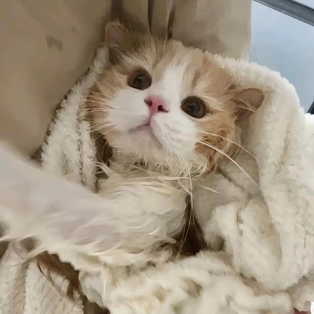 珈