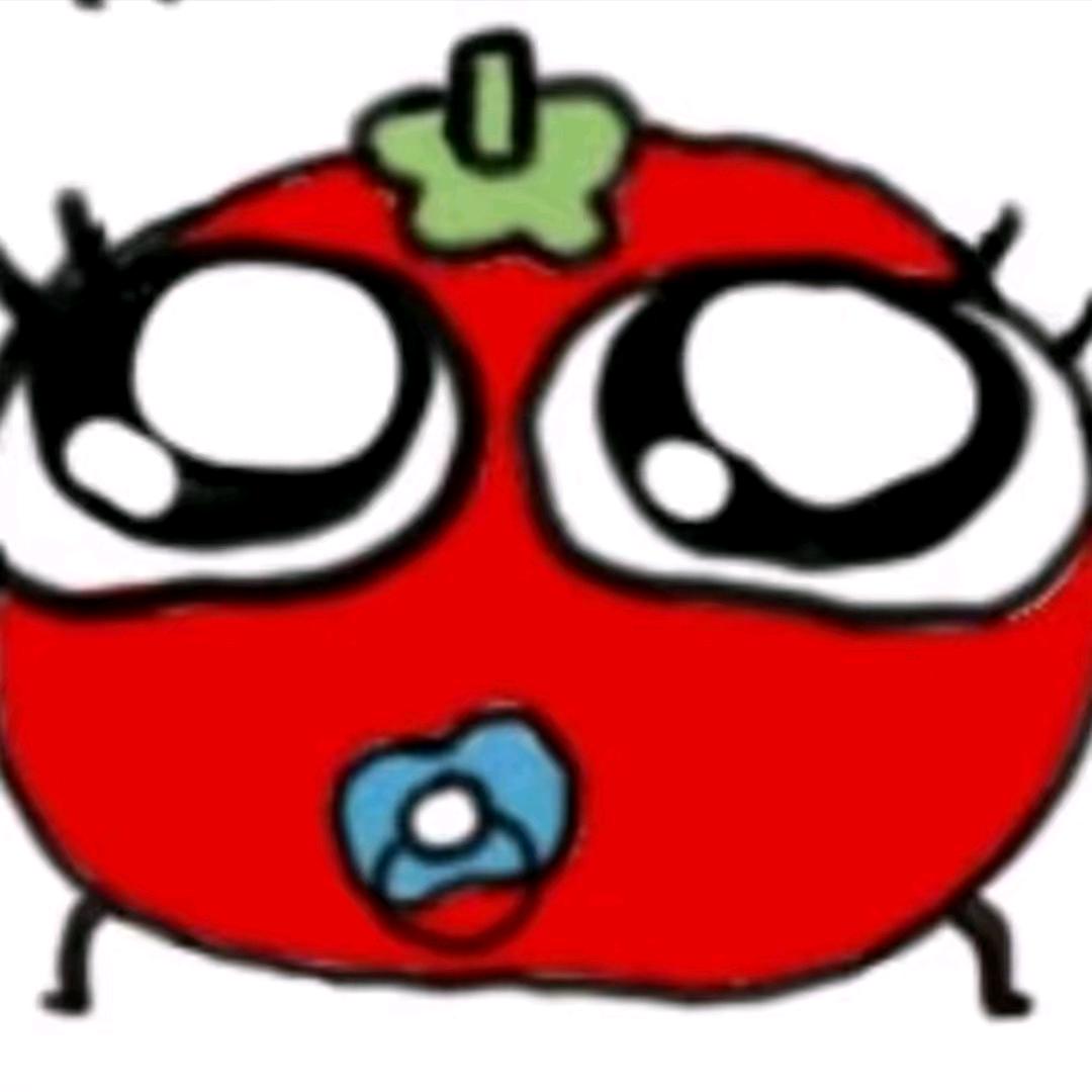 特码头