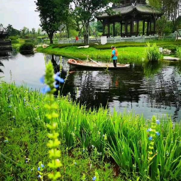 山水