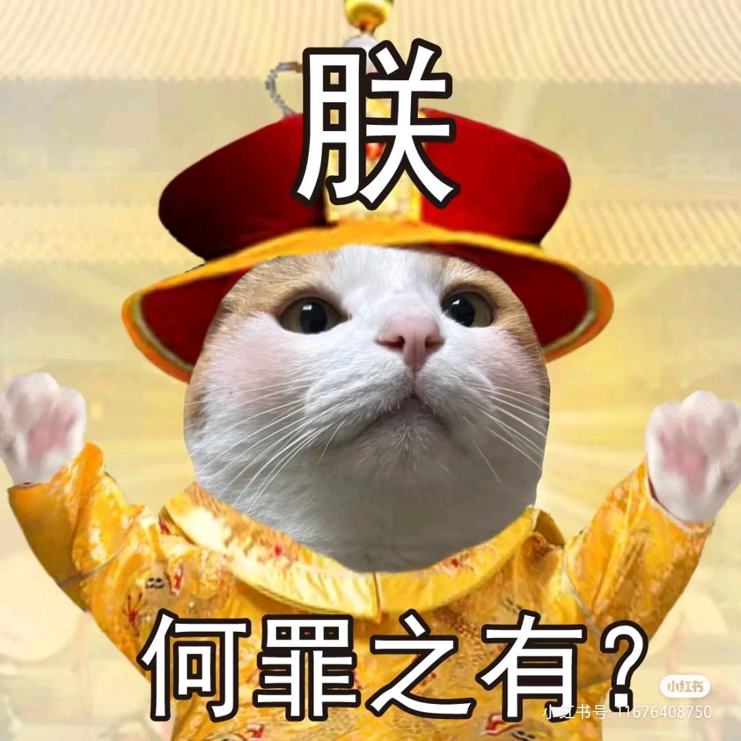 RL.栓Q🐱/小猫（百天啦!