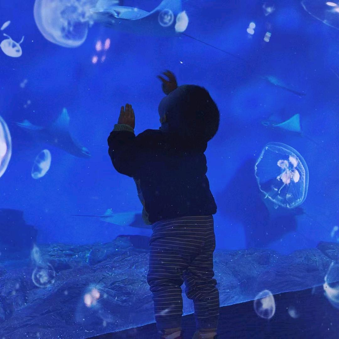 水母艾拉婴幼儿水育中心地纬生活广场店