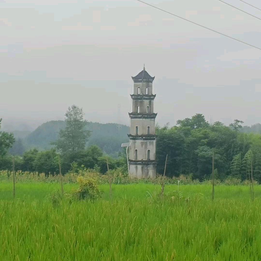 闪亮！.