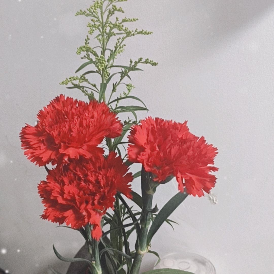 似水流年