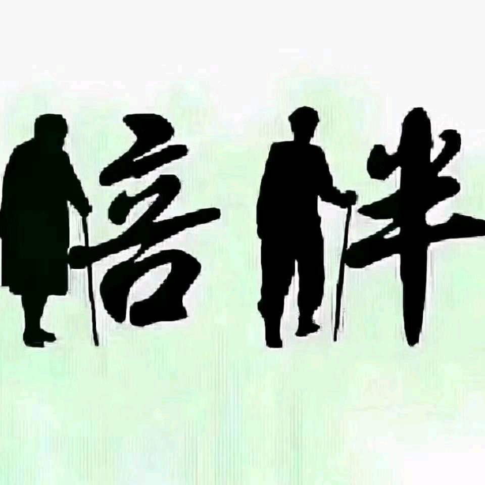奕奕柯意